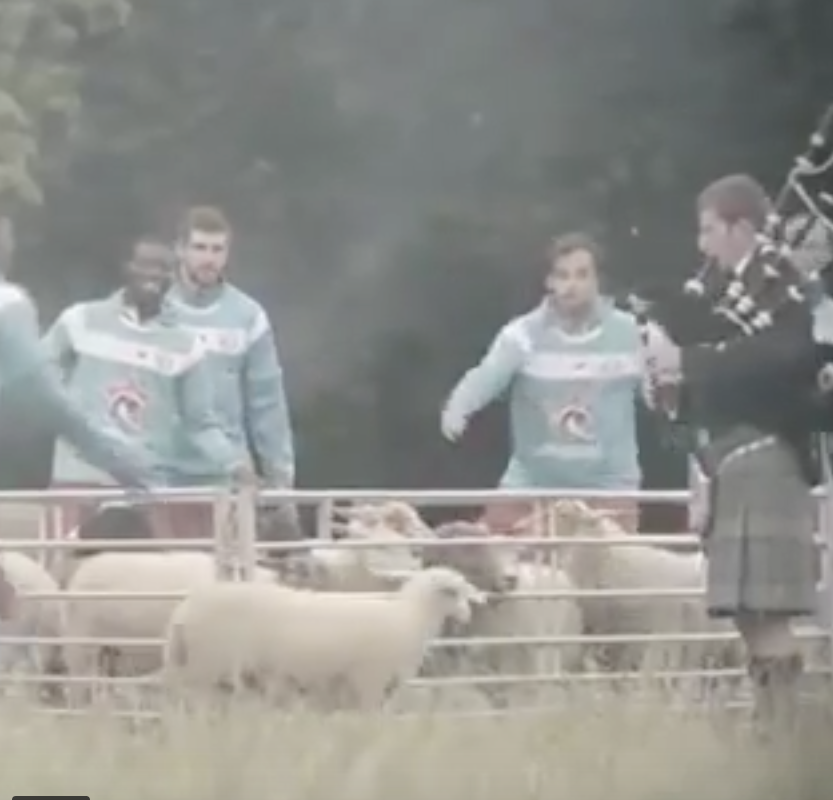 doedelzakspeler - AA Gent - schapendrijven1